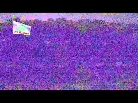 استهداف مقرات النظام بصواريخ محلية الصنع من قبل اللواء 313 في تلبيسة في ريف حمص الشمالي