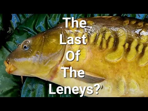 Forgotten Farm Ponds - The Last Of The Leneys?