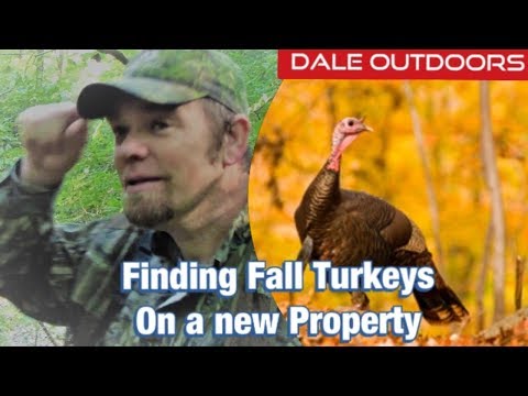 Finding Fall Turkeys on a New Property