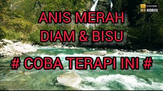 Download lagu Terapi Burung Anis Merah, Burung Diam Jadi Bunyi. mp3