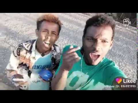 ግሩም ግራ እና ጌች አባቴ ሌባ ነው