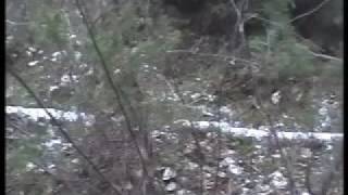 Calmestrand - Astray