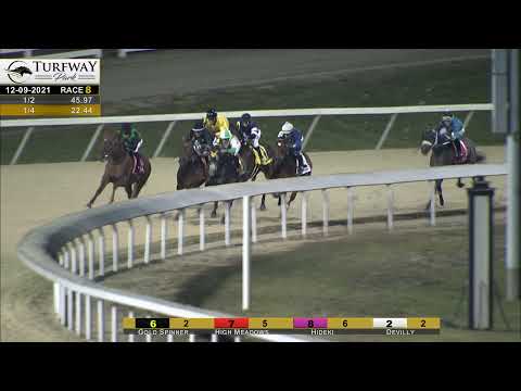 RACE 8 PROGRAM 12-09-2021