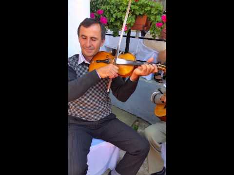 GHEORGHE IRINCHI & VASILE ARDELEAN