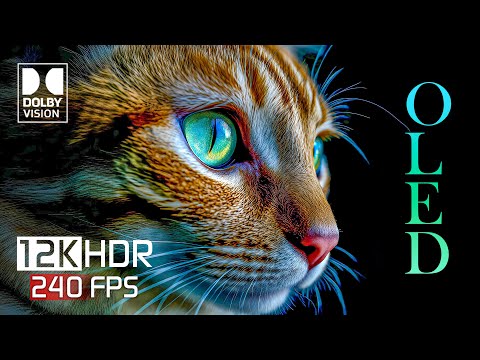 12K Video ULTRA HD 240 FPS - Best OLED Dolby Vision 12K HDR