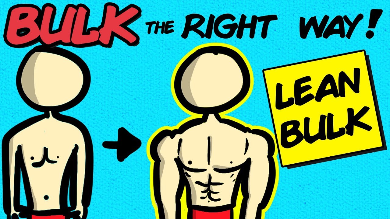 What is Lean Bulking? | Build Muscle Without Getting Fat