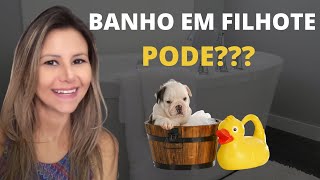 Com quanto tempo pode dar banho no filhote? Filhote pode tomar banho?