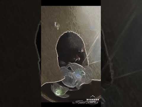 Mad Maj ft Dreco Dre CAME FROM THE BOTTOM