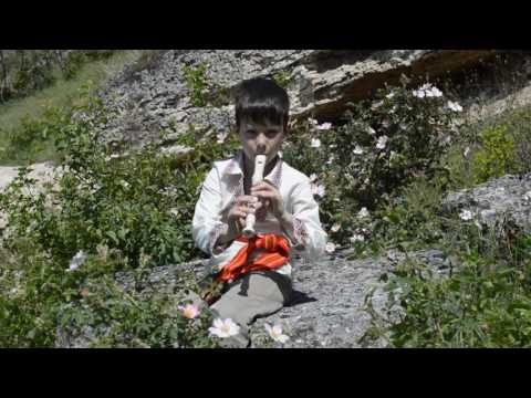 Măicuța nu mă certa