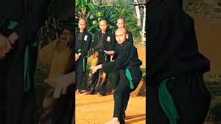 Download lagu SISWA PSHT SOLO SPEL mp3 Download lagu SISWA PSHT SOLO SPEL mp3