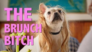 The Brunch Bitch