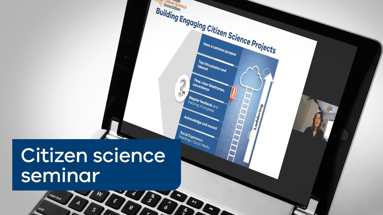 Using citizen science to understand the environment