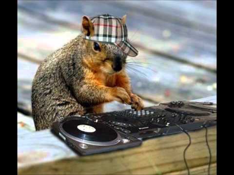 MFD - The Resurrection Of DJ Squirrel (An Experiment/Work In Progress)