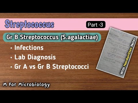 Streptococcus (part -3) | Group B Streptococcus | Difference between Gr A and Gr B Streptococci
