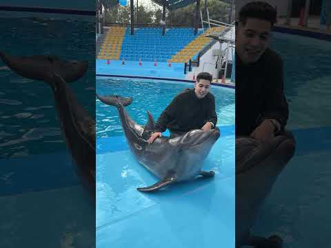 الدولفين المتكلم لن تصدق ذكائه❤️😱
