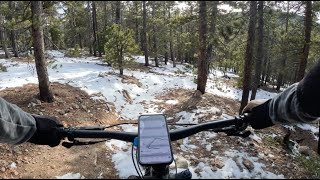 Snowshoe Hare - deep woods snow tech - Golden Gate Canyon State Park - Colorado