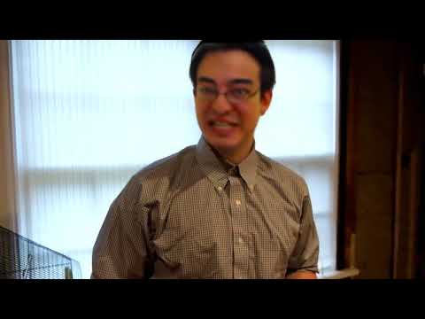 FilthyFrankDeepfakeTest2021