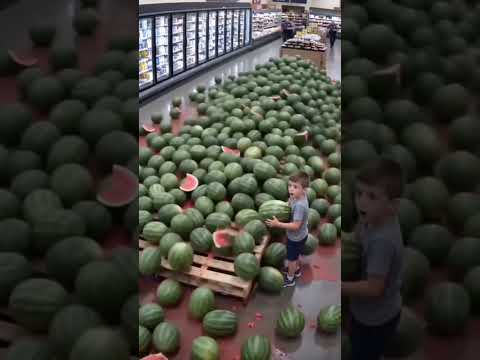 A samo je htio jednu lubenicu 😳 #viralvideo #funny #smiješno #humor #comedy #popular
