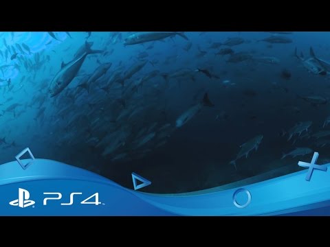 Cocos: Shark Island | Launch Trailer | PlayStation VR thumbnail