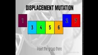 Displacement Mutation - Genetic Algorithms