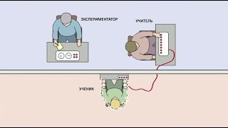 Эксперимент Милгрэма. Популярная наука с Анной Урманцевой.