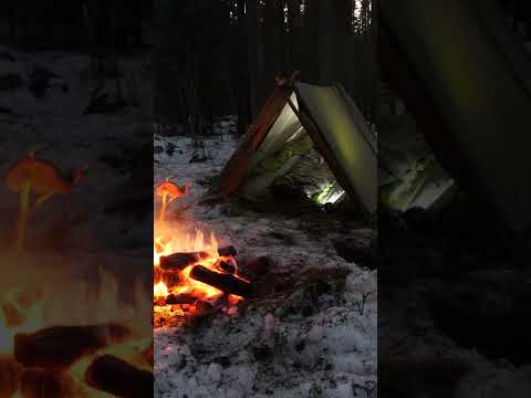 Feeling COLD? Build yourself an A-frame SURVIVAL SHELTER!