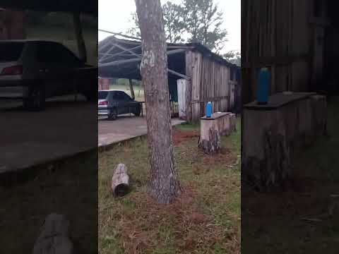 fachinal misiones Argentina