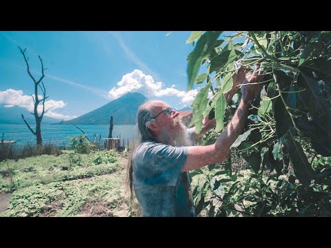 Where Cacao Comes From | Keith Wilson, the Chocolate Shaman