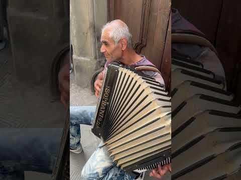 Solo street accordion player in Florence, Italy #shorts #accordionplayer