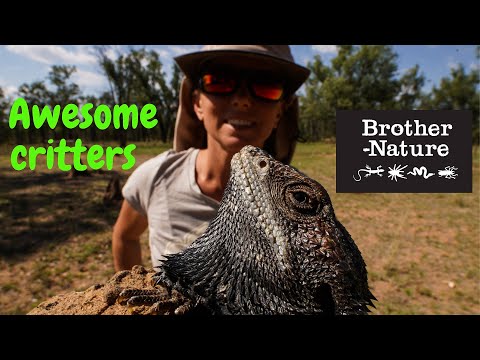 Finding awesome wildlife in Australia -Aussie wildlife documentary