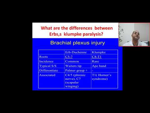 What are the differences between Erbs palsy and klumpke paralysis? Horner syndrome, palmer grasp,Ape