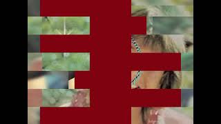 David Cassidy tribute it’s one of those nights