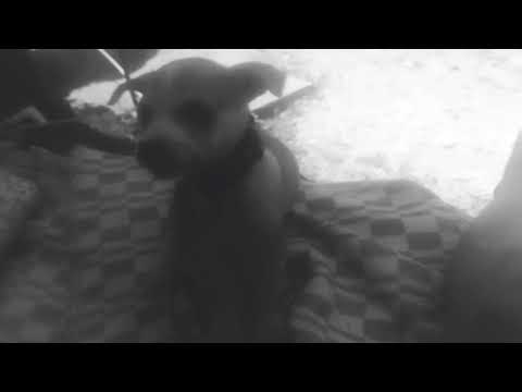 Cum sati ienervezi cinele