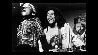 Ziggy Marley - Natural Mystic (tribute to Bob Marley)