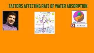 Factors Affecting Rate Of Water Absorption