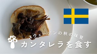 【北欧暮らしVlog】スウェーデンの秋の定番食材🍂カンタレラがおいしすぎた🍄 / スウェーデンの休日 / スウェーデン料理