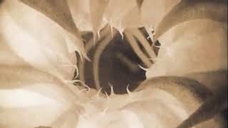 Morphine   So Many Ways