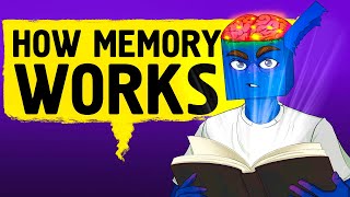 Inside Your Brain: How to Unlock Your Memory