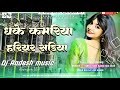 Dhake Kamariya Hariyar Sadiya Khich Lele Raja Ji Goldi Yadav New Instagram Viral Dj Remix Song 2025