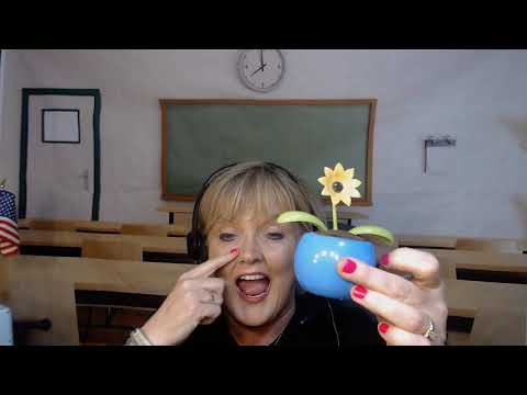 ESL the words a and an