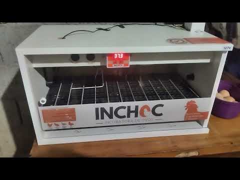 Chocadeira INCHOC, Não compre antes de ver este vídeo! #chocadeira #galinha 