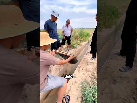 Se rieron… y luego pasó esto 😳