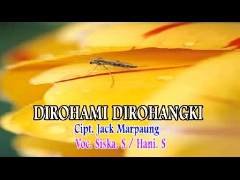 Siska Sianturi, Hani Sihotang - Dirohami Dirohangki  ( Official Musik Video )