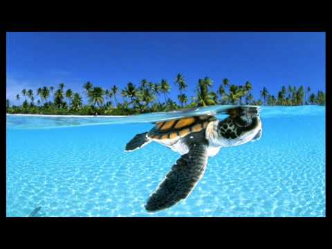 Cirque Du Soleil - Mer Noire ( Tiesto Remix ) 2004