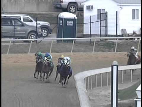 Forest Boyce Hi Ho Bambino