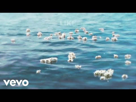 Video thumbnail for Flowers In The Water