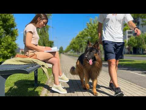 Will My Dogs Recognize Me in Public?