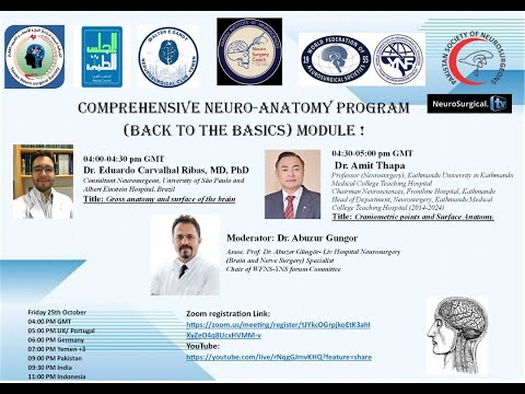 Comprehensive Neuro anatomy program