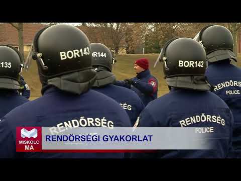 Videó előnézet