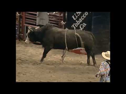 Shake Rattle & Roll bucks Cody Hart - 99 PBR Bakersfield